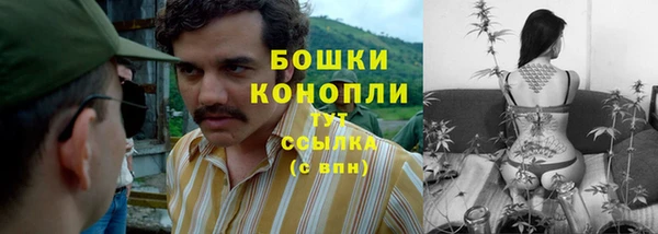 первитин Осташков