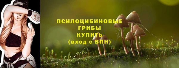 mix Осинники