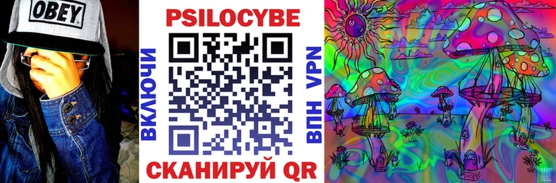 Псилоцибиновые грибы Cubensis  как найти   Покровск 