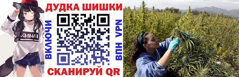кракен онион  Покровск  Каннабис индика  закладки 
